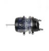 DT 10.14401 Spring-loaded Cylinder